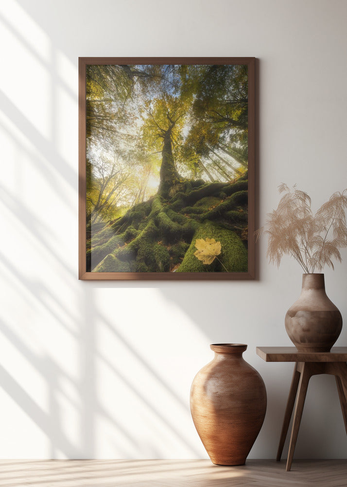 The goodbye of a leaf