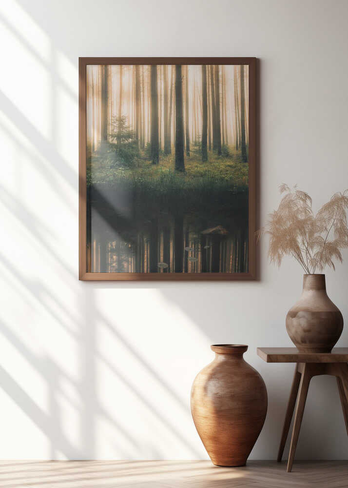 Reflection in the foggy forest