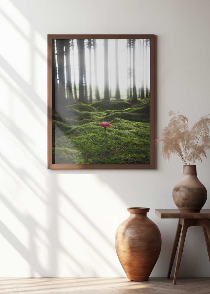 Red mushroom in the green forest