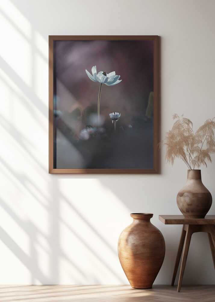 Elles, mes fleurs, émoi