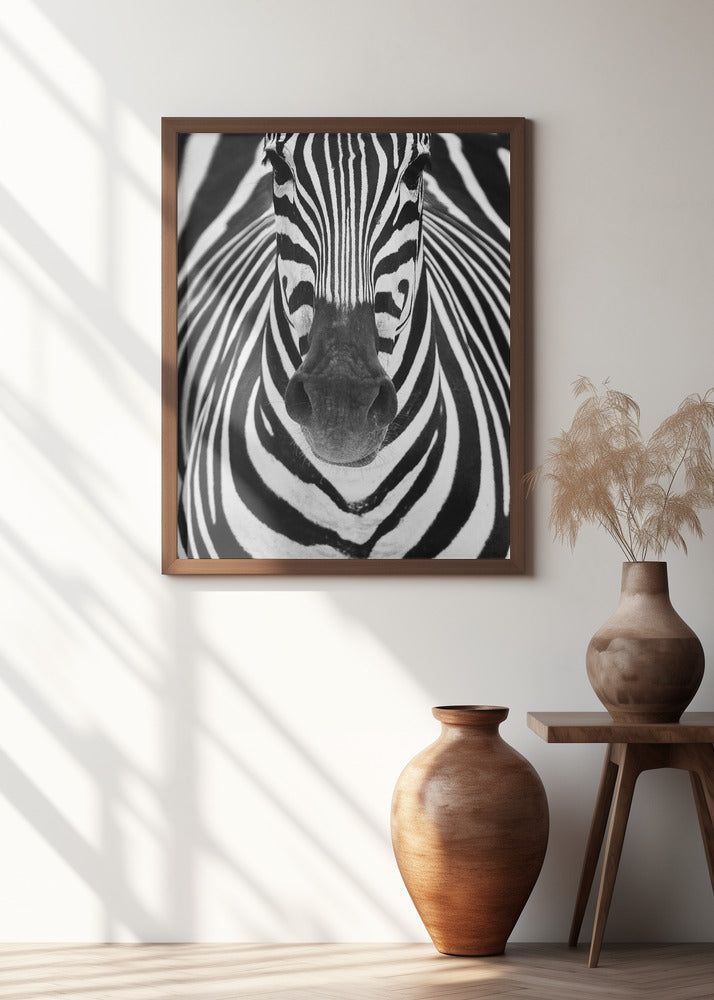 Art Prints of ZEBRA