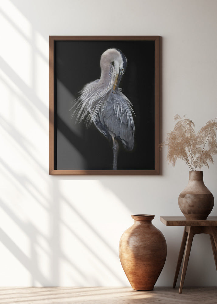 Art Prints of The Elegant Great Blue Heron