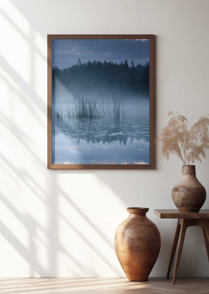 Reed in the morning light