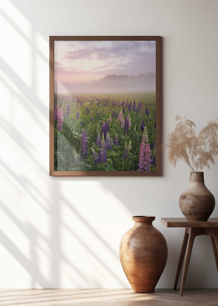 Lupines in fog part 3