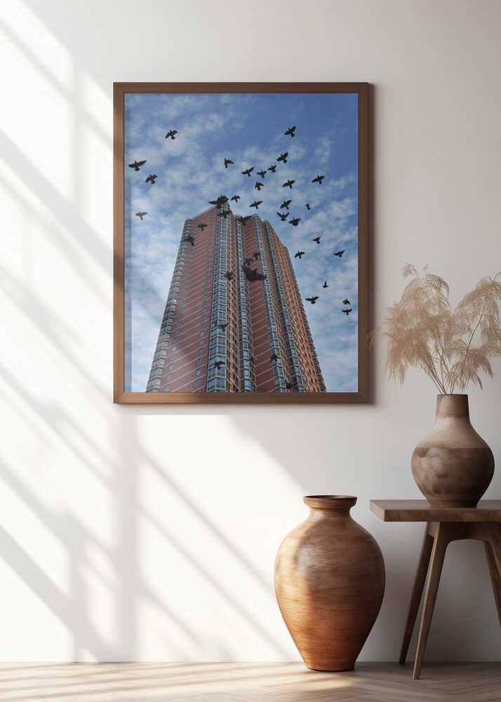 Birds over Manhattan New York