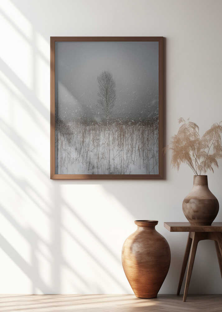 In the fairytale land