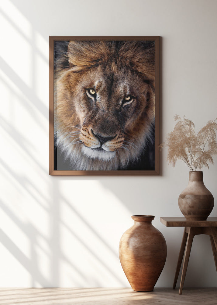 Art Prints of The king