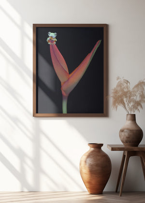 Art Prints of Lemur Tree Frog on a Tropical Stem