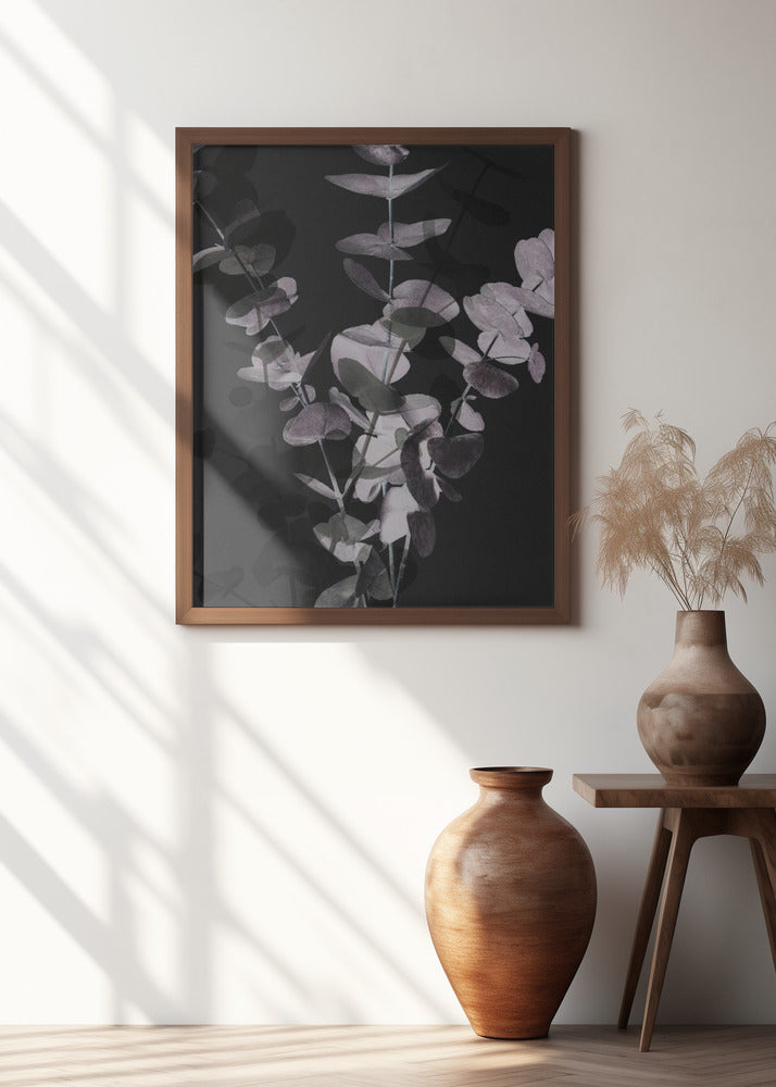 Eucalyptus_Negative_001