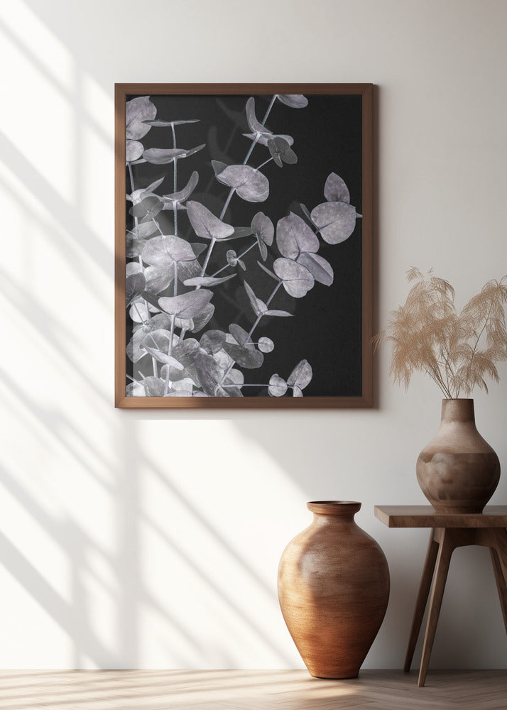 Eucalyptus_Negative_003