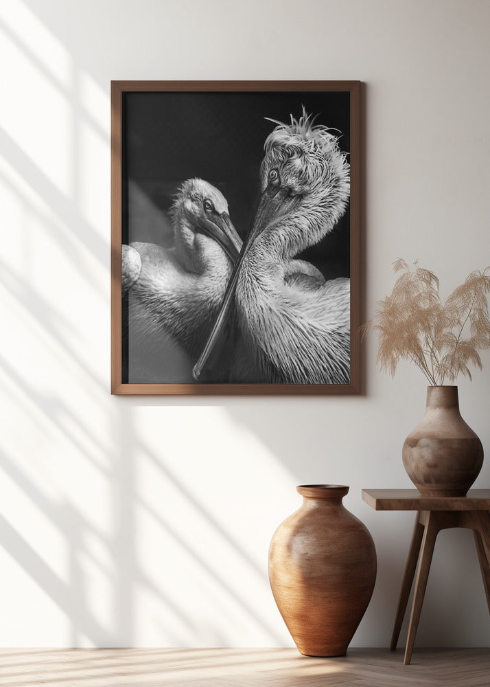 Art Prints of Crisscross