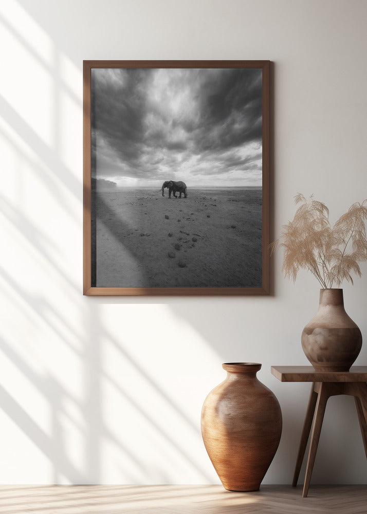 Art Prints of Amboseli