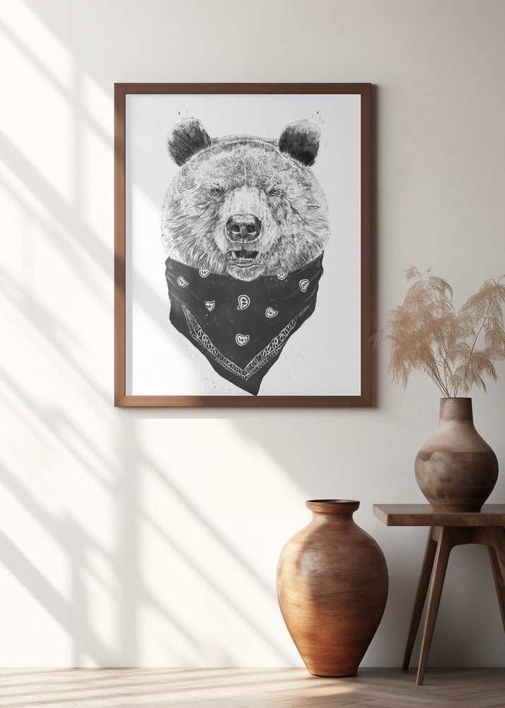 Wild bear