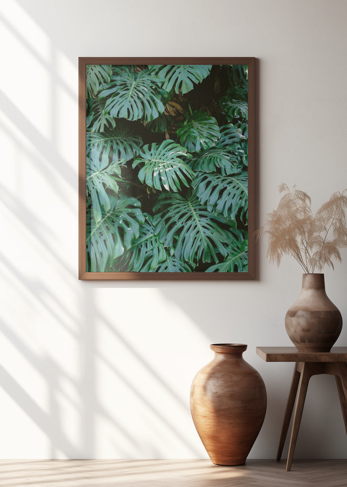 Monstera wall in Lisbon