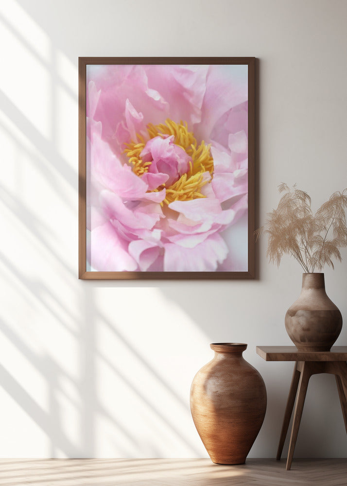Pink peony I