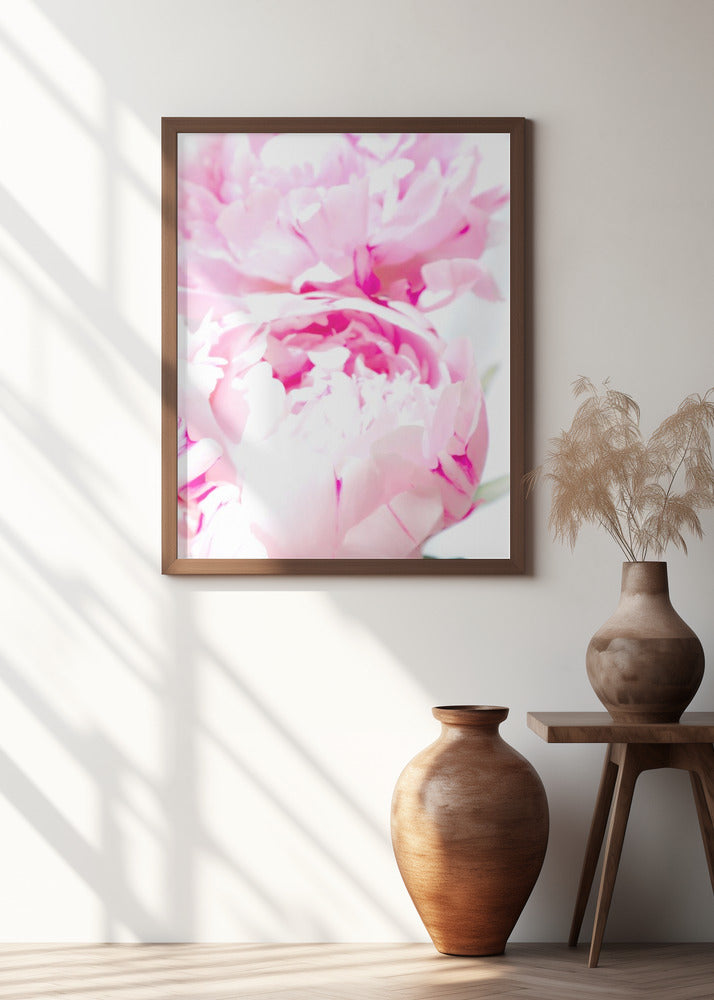 Pink peony X