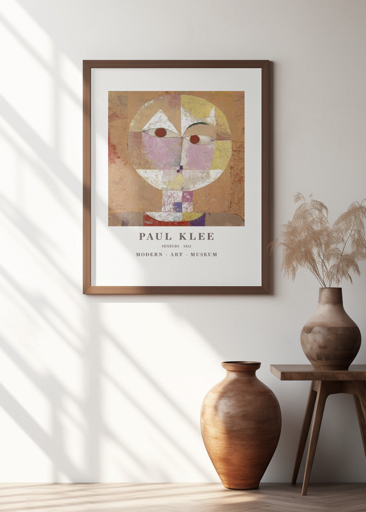 Senecio Baldgreis 1922