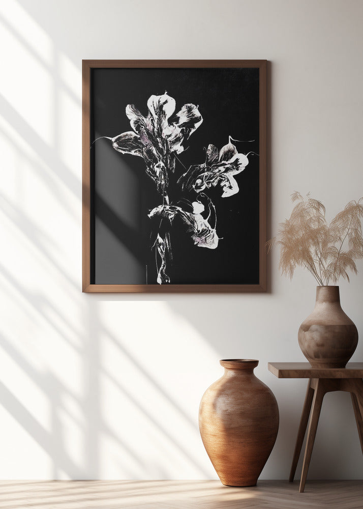 Monochrome Floral Petals