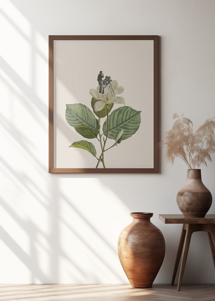 Botanical vintage cameraman