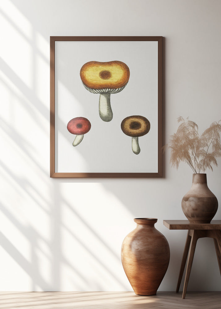 Hand Drawn Galerina Mushroom