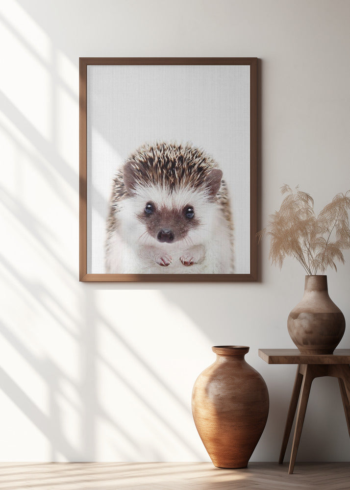 Peekaboo Hedgehog