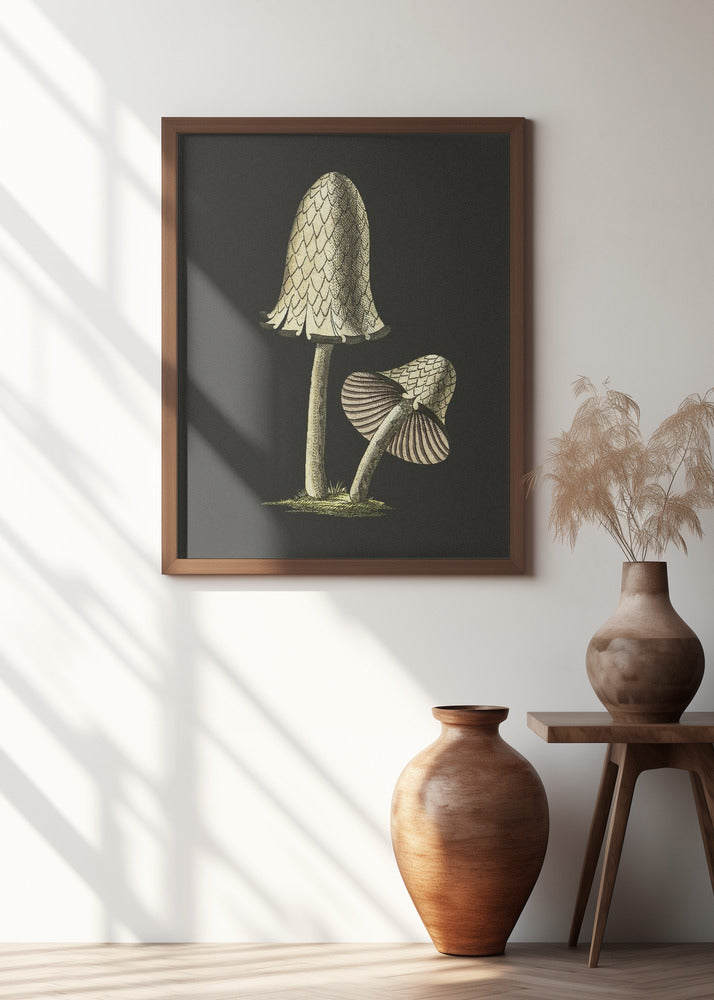 Vintage Inky Cap Edible Mushroom Black Background