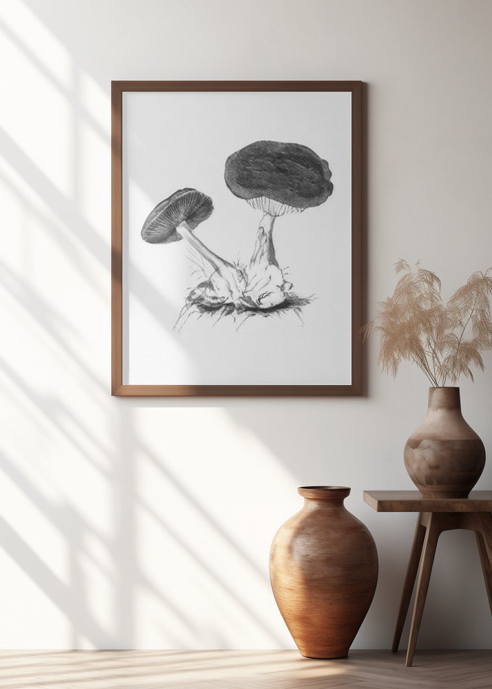 Vintage Violet Webcap Mushroom Bright BW