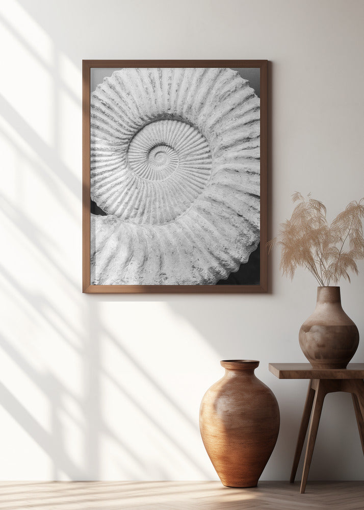 Ancient Spiral Dreams