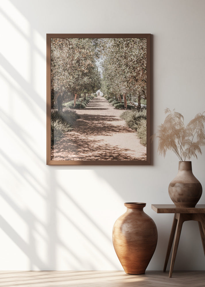 A Serene Tree Lined Path with Sunlight