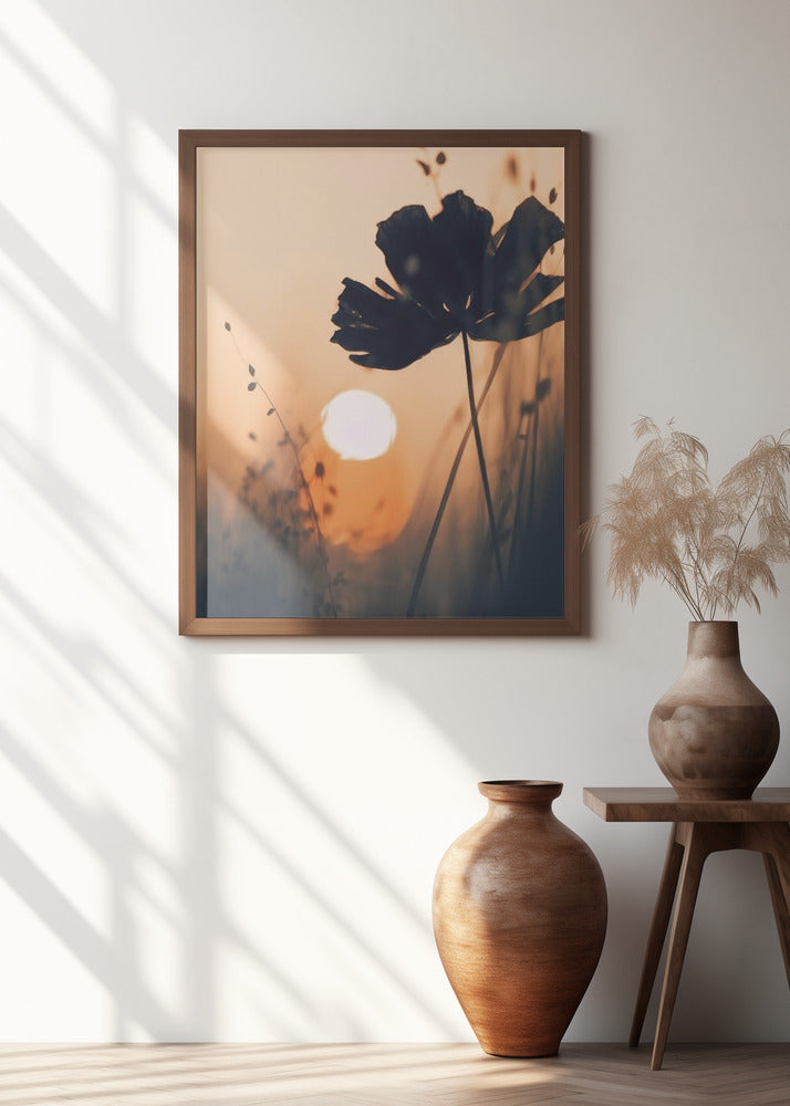 Silhouette at Sunset