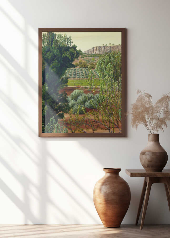 High Mountain Olive Trees