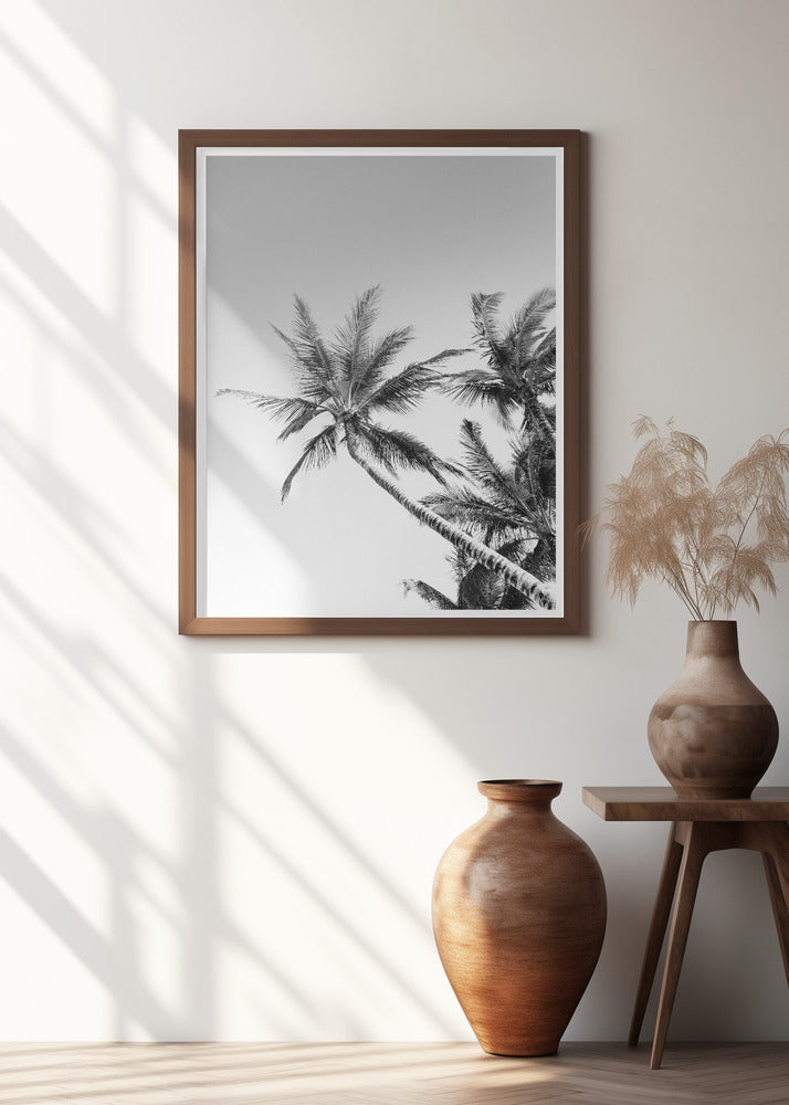 Tropical Silhouettes