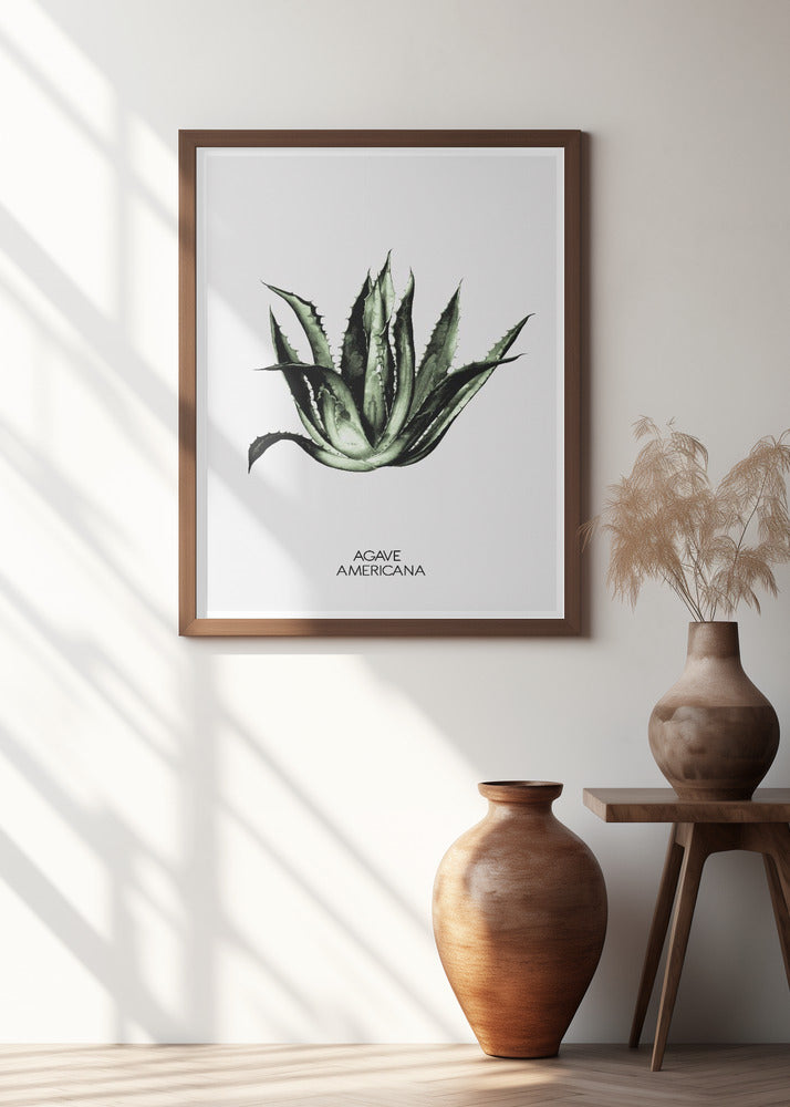 Green Agave Elegance