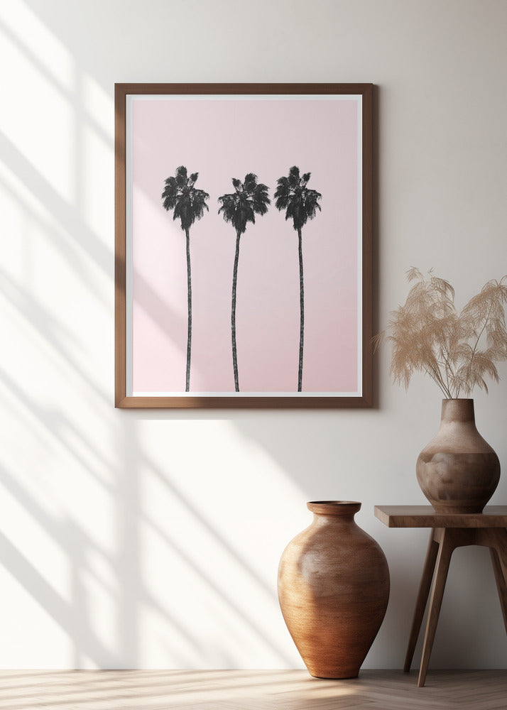 Three Tall Palms