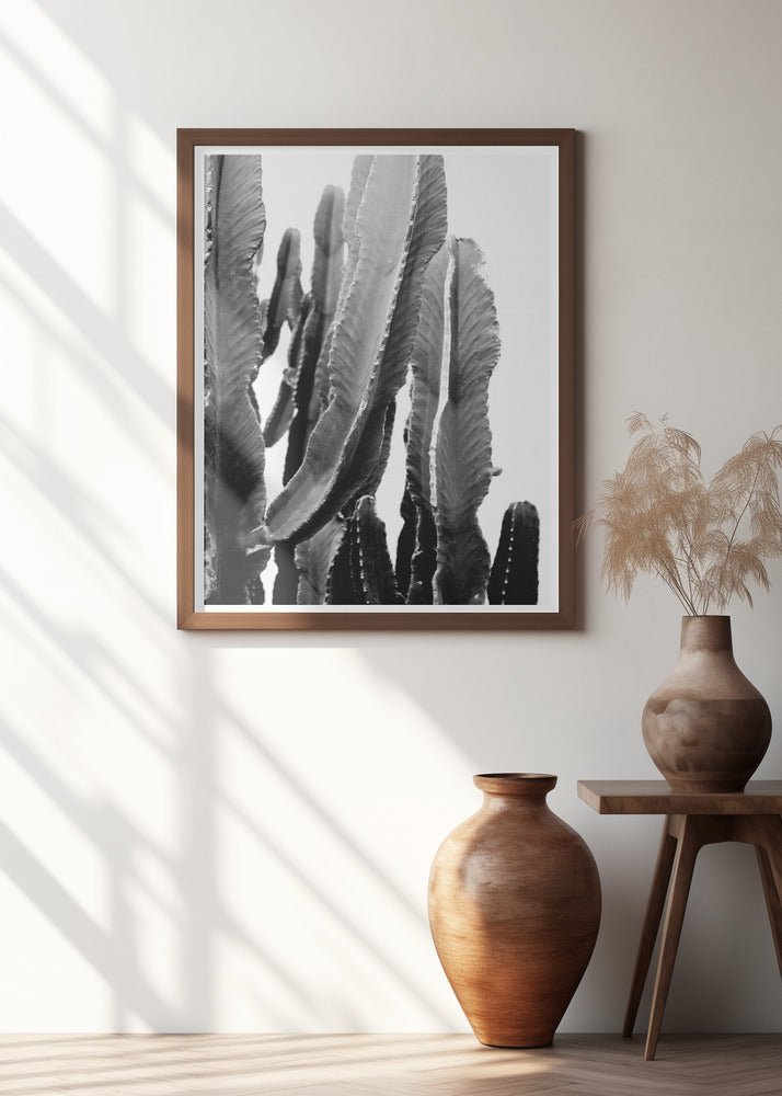 Cactus Elegance