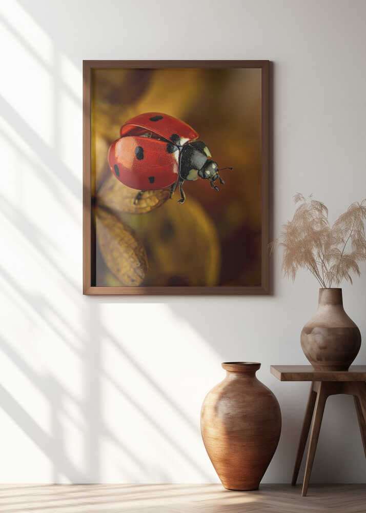 Red Ladybug