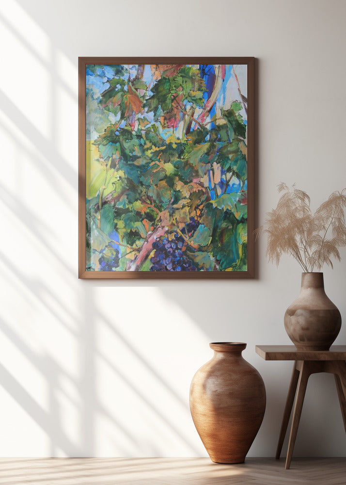 Grapevine near the house