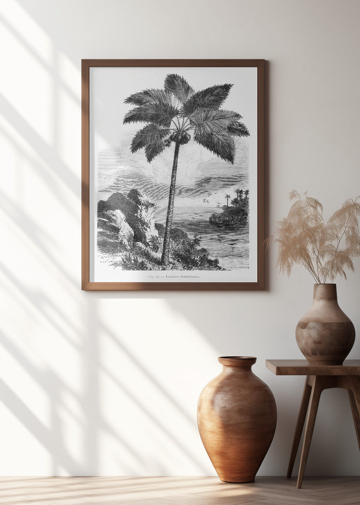 Vintage Palm Tree Drawing I