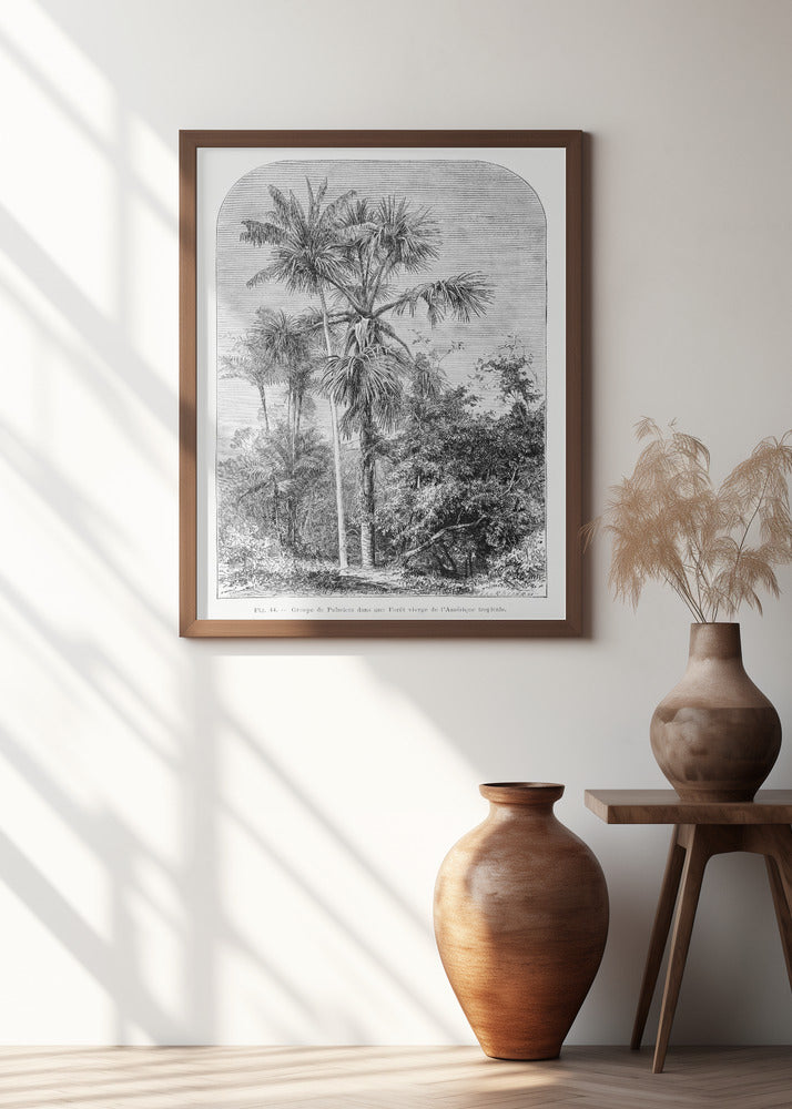 Vintage Palm Tree Drawing Iv