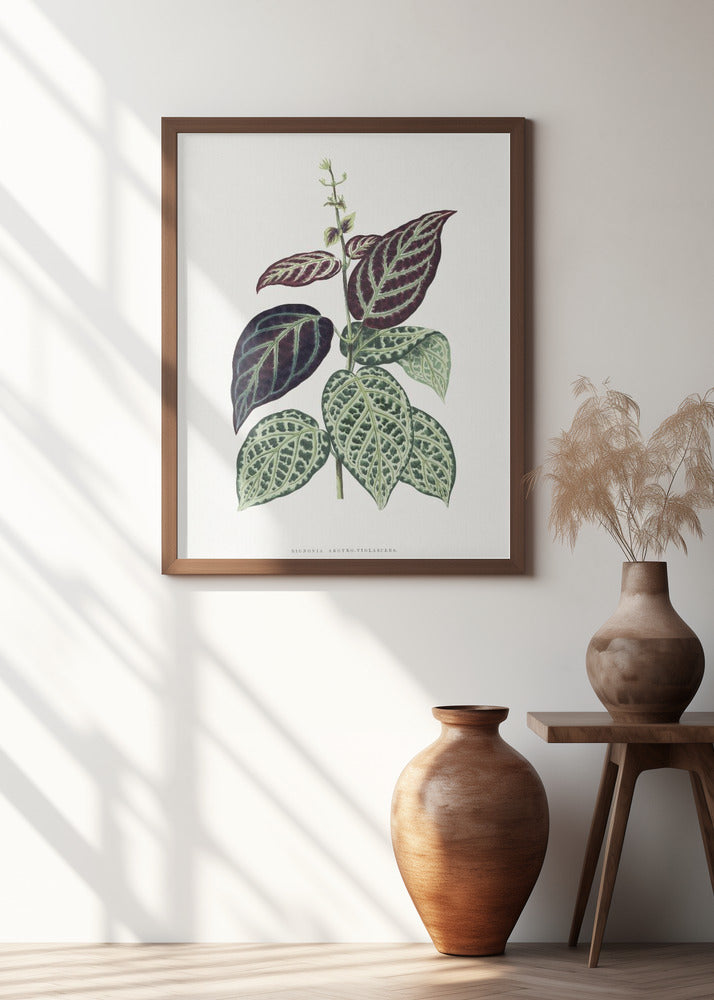 Green Bignonia Argyro Violascens Leaf Illustration