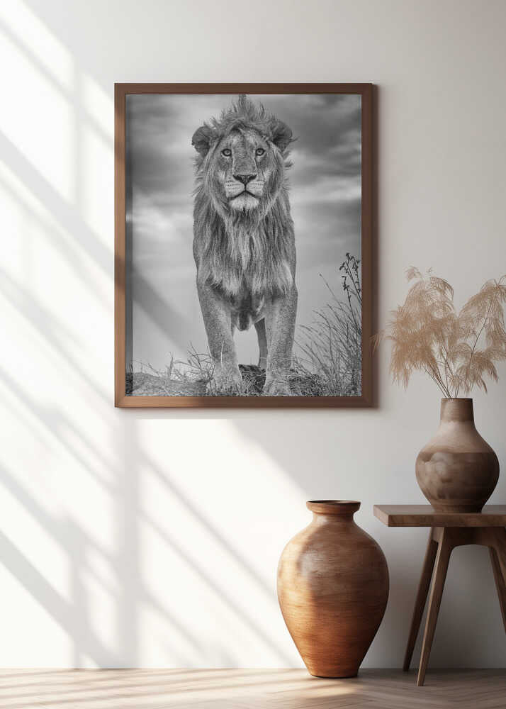 Encounter with the King