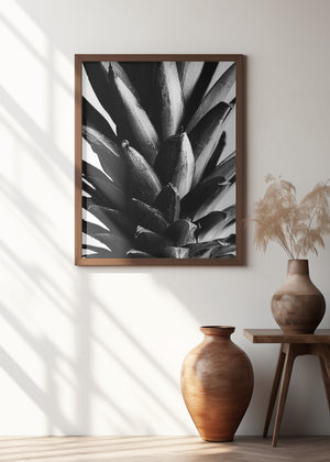 Art Prints of Pine B&w