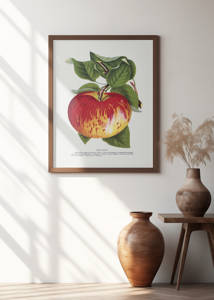 Wealthy Apple Lithograph