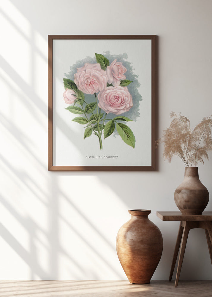 Pink Rose, Clothilde Soupert Lithograph