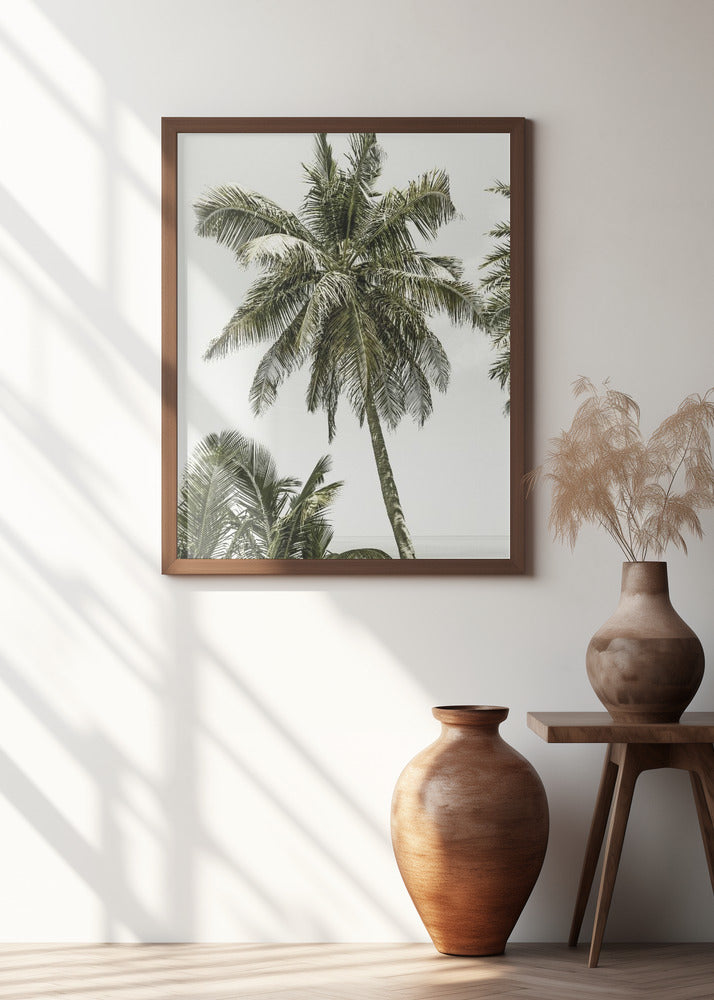 Palm Trees by the ocean | Vintage