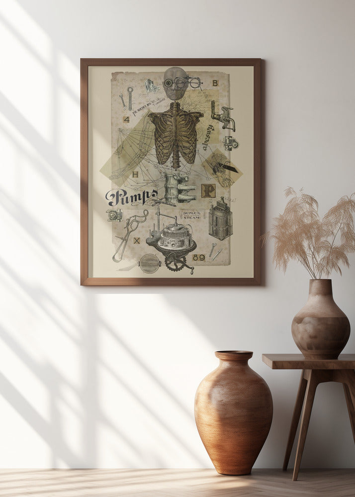 Body In Metamorphosis