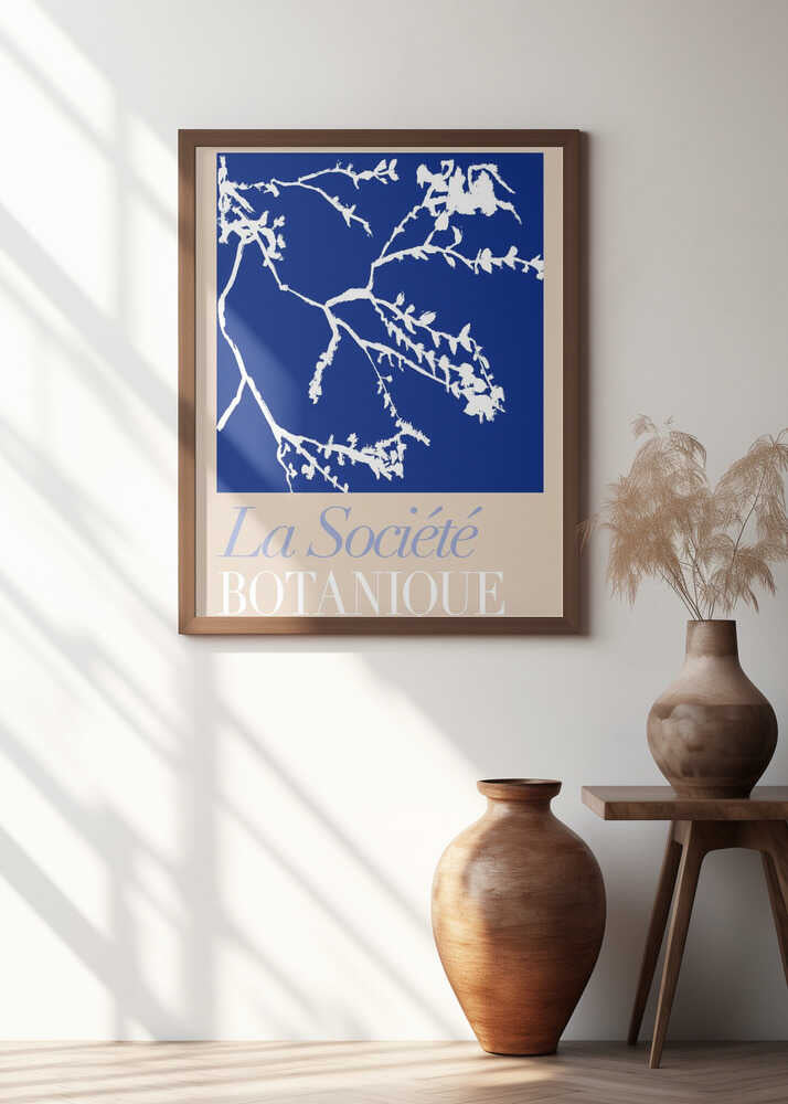 La Société Botanique White Flower 2