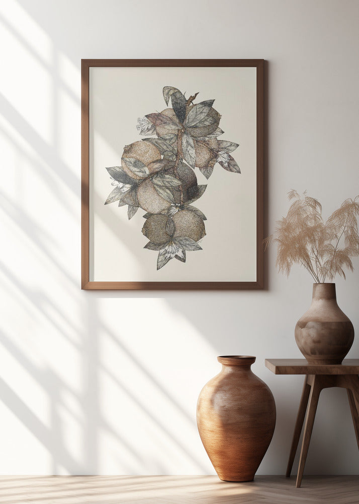 Pomegranate (1867) Rufus King