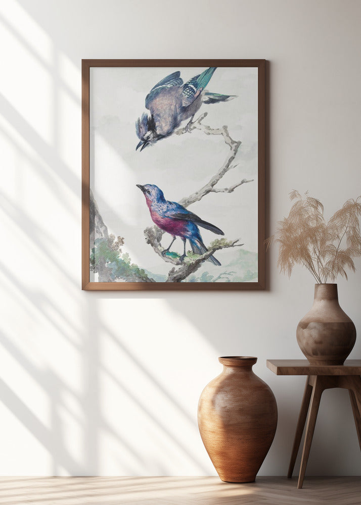 Two Birds a Blue Jay and a Purple Breasted Cotinga