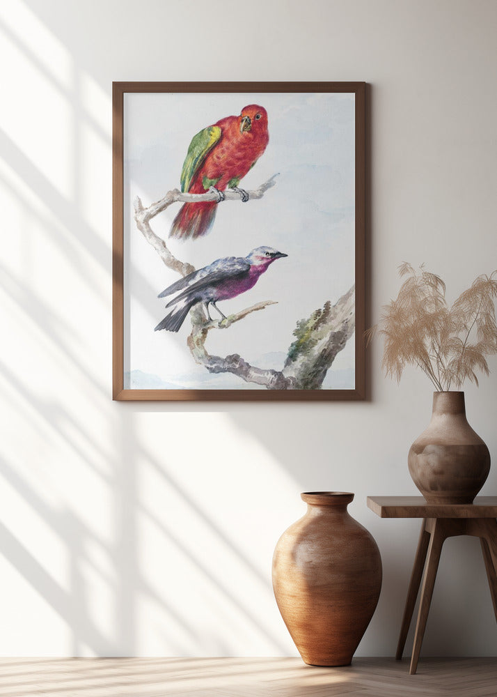 Two Birds, Including a Red Green Parrot